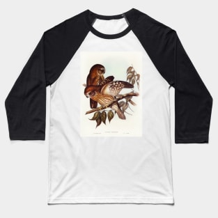 Boobook Owl (Athene boobook) Baseball T-Shirt